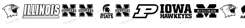NCAA Washington St R字体转换